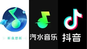 抖音汽水音乐与第三方插件冲突？兼容性排查方法