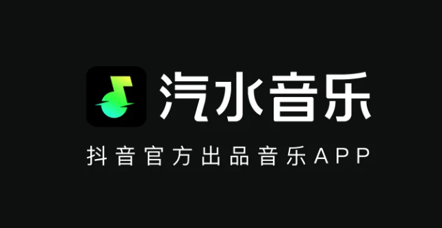 抖音汽水音乐国内无法访问？网络加速与访问方法指南