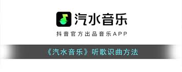 抖音汽水音乐无法搜索歌曲？关键词优化与网络排查
