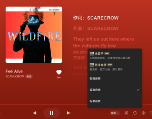 抖音汽水音乐分享失败或链接错误？网络与版本检查指南